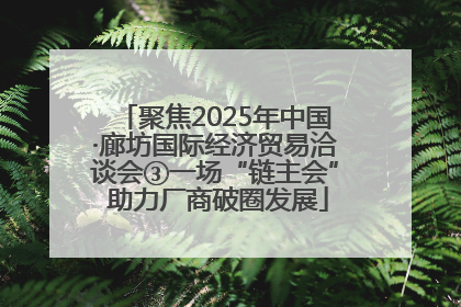 聚焦2025年中国·廊坊国际经济贸易洽谈会③一场“链主会” 助力厂商破圈发展