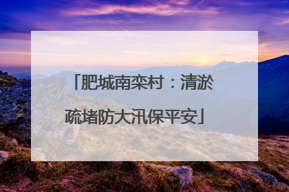 肥城南栾村：清淤疏堵防大汛保平安