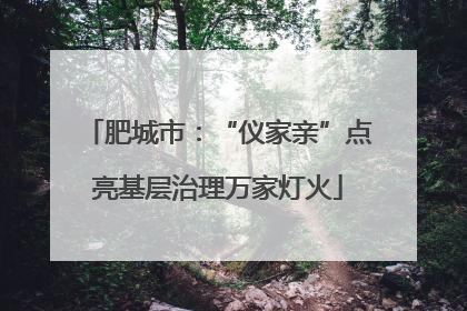肥城市：“仪家亲”点亮基层治理万家灯火