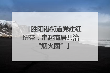 胜阳港街道党建红纽带，串起商居共治 “烟火圈”