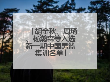 胡金秋、周琦、杨瀚森等入选新一期中国男篮集训名单