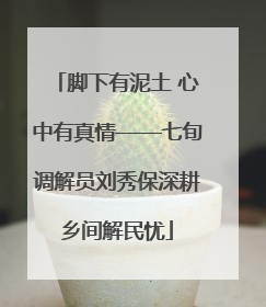 脚下有泥土 心中有真情——七旬调解员刘秀保深耕乡间解民忧