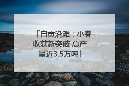 自贡沿滩：小春收获新突破 总产量近3.5万吨