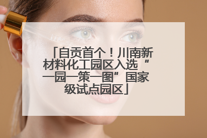 自贡首个！川南新材料化工园区入选“一园一策一图”国家级试点园区