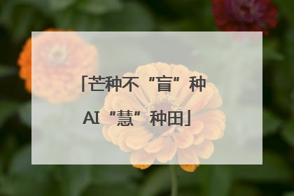 芒种不“盲”种 AI“慧”种田