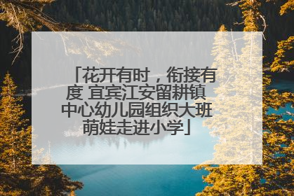 花开有时，衔接有度 宜宾江安留耕镇中心幼儿园组织大班萌娃走进小学