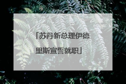 苏丹新总理伊德里斯宣誓就职