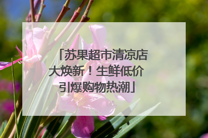苏果超市清凉店大焕新！生鲜低价引爆购物热潮