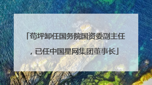 苟坪卸任国务院国资委副主任，已任中国星网集团董事长