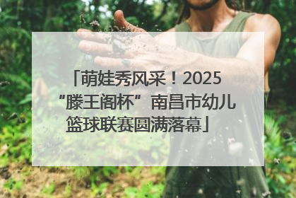 萌娃秀风采！2025“滕王阁杯”南昌市幼儿篮球联赛圆满落幕