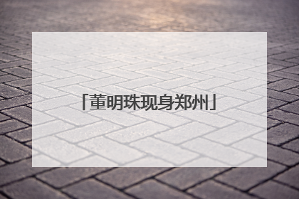董明珠现身郑州