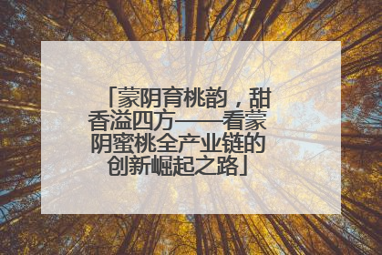 蒙阴育桃韵，甜香溢四方——看蒙阴蜜桃全产业链的创新崛起之路