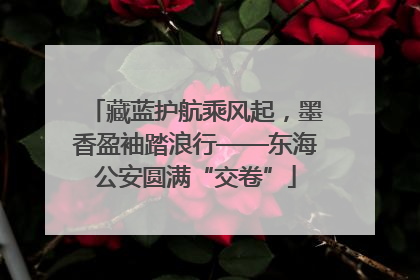 藏蓝护航乘风起，墨香盈袖踏浪行——东海公安圆满“交卷”