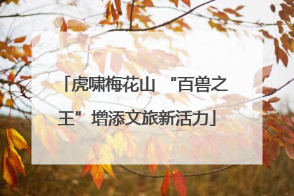 虎啸梅花山 “百兽之王”增添文旅新活力
