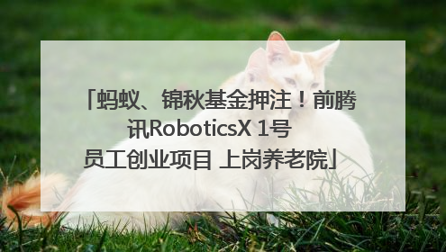 蚂蚁、锦秋基金押注！前腾讯RoboticsX 1号员工创业项目 上岗养老院