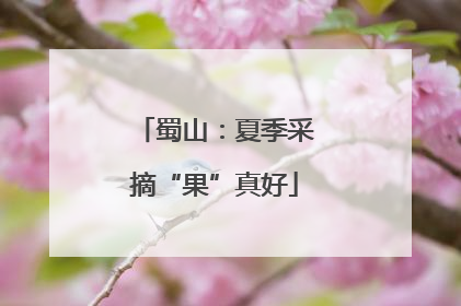 蜀山：夏季采摘“果”真好