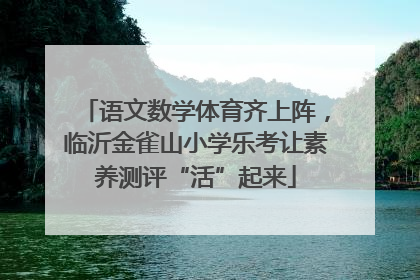 语文数学体育齐上阵，临沂金雀山小学乐考让素养测评“活”起来