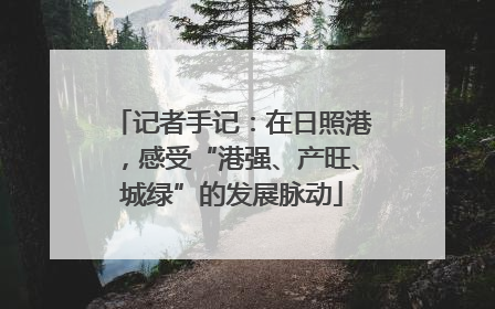 记者手记：在日照港，感受“港强、产旺、城绿”的发展脉动