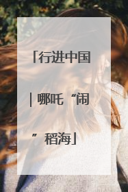 行进中国｜哪吒“闹”稻海