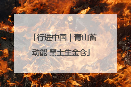 行进中国｜青山蓄动能 黑土生金仓