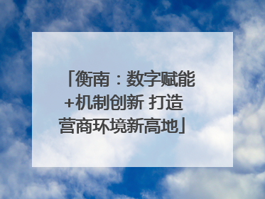 衡南：数字赋能+机制创新 打造营商环境新高地