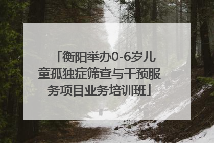 衡阳举办0-6岁儿童孤独症筛查与干预服务项目业务培训班