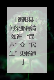 衡阳县：问渠那得清如许 “民声”变“民生”更畅通