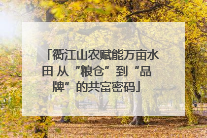 衢江山农赋能万亩水田 从“粮仓”到“品牌”的共富密码