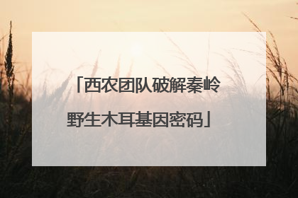 西农团队破解秦岭野生木耳基因密码