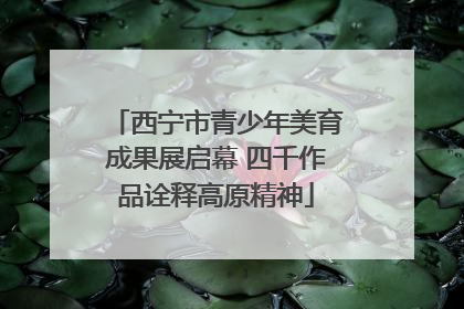 西宁市青少年美育成果展启幕 四千作品诠释高原精神
