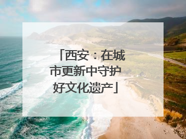 西安：在城市更新中守护好文化遗产