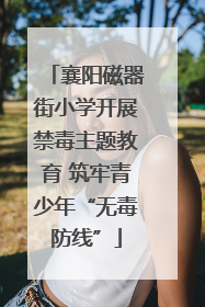 襄阳磁器街小学开展禁毒主题教育 筑牢青少年“无毒防线”