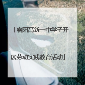 襄阳高新一中学子开展劳动实践教育活动
