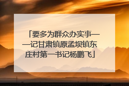 要多为群众办实事——记甘肃镇原孟坝镇东庄村第一书记杨鹏飞