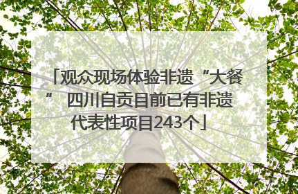 观众现场体验非遗“大餐” 四川自贡目前已有非遗代表性项目243个