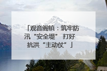 观音阁镇：筑牢防汛“安全堤” 打好抗洪“主动仗”