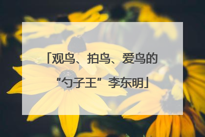 观鸟、拍鸟、爱鸟的“勺子王”李东明