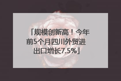 规模创新高！今年前5个月四川外贸进出口增长7.5%