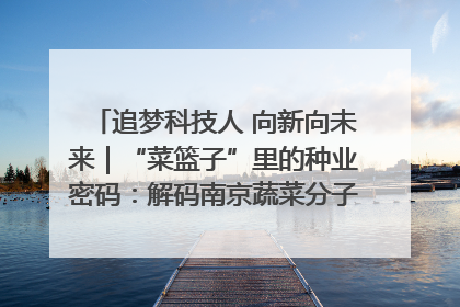 追梦科技人 向新向未来｜“菜篮子”里的种业密码：解码南京蔬菜分子育种的创新之路