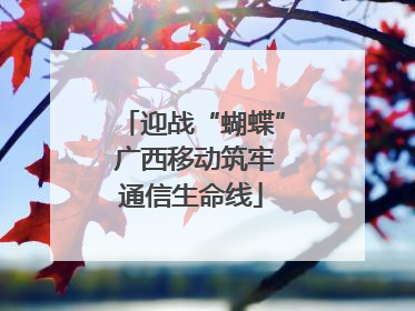 迎战“蝴蝶” 广西移动筑牢通信生命线