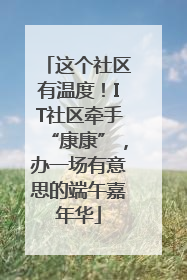 这个社区有温度！IT社区牵手“康康”，办一场有意思的端午嘉年华