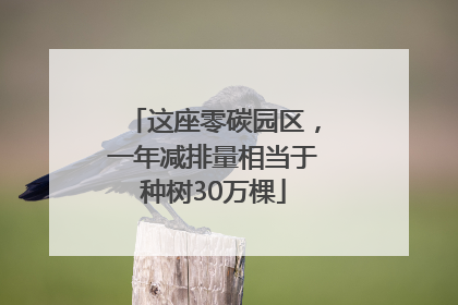 这座零碳园区，一年减排量相当于种树30万棵