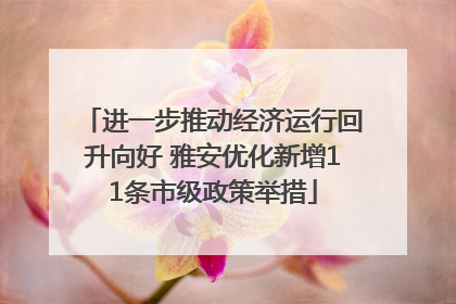 进一步推动经济运行回升向好 雅安优化新增11条市级政策举措