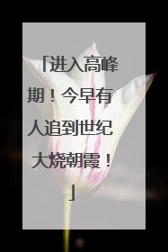 进入高峰期！今早有人追到世纪大烧朝霞！