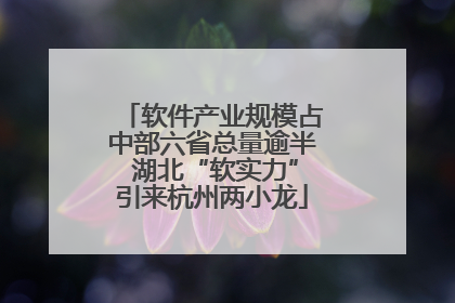 软件产业规模占中部六省总量逾半 湖北“软实力”引来杭州两小龙