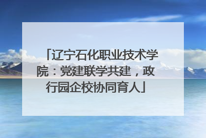 辽宁石化职业技术学院：党建联学共建，政行园企校协同育人