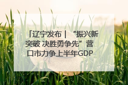 辽宁发布｜“振兴新突破 决胜勇争先”营口市力争上半年GDP增长6%左右