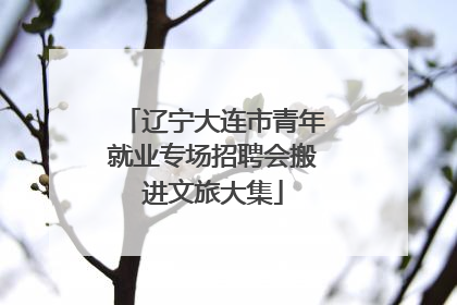 辽宁大连市青年就业专场招聘会搬进文旅大集