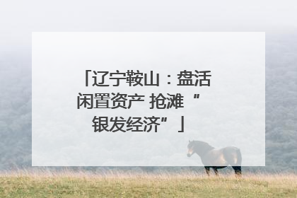 辽宁鞍山：盘活闲置资产 抢滩“银发经济”