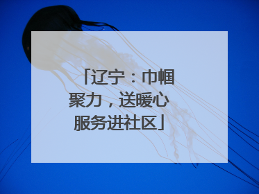 辽宁：巾帼聚力，送暖心服务进社区